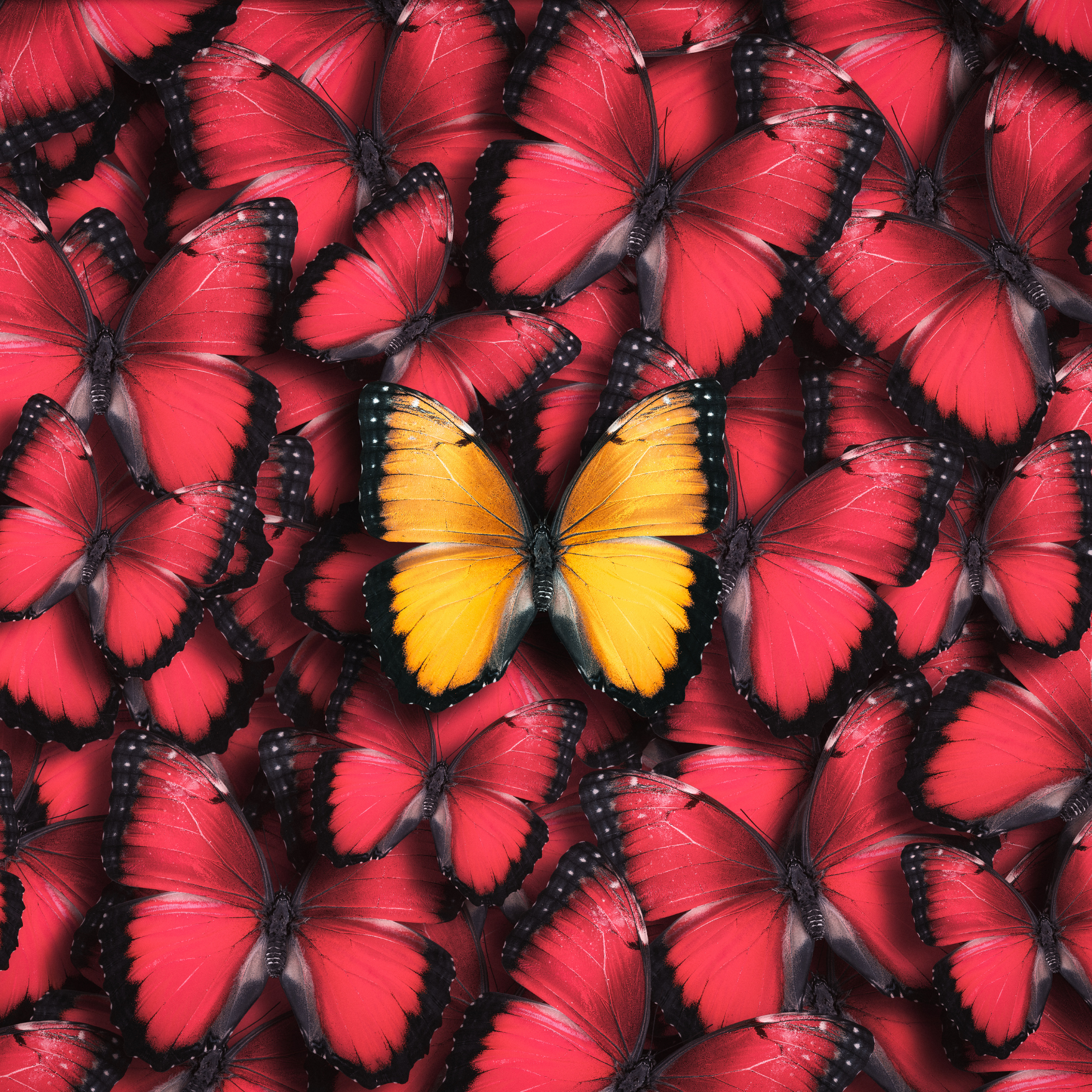 Getting started on freelancing platforms (How to stand-out)